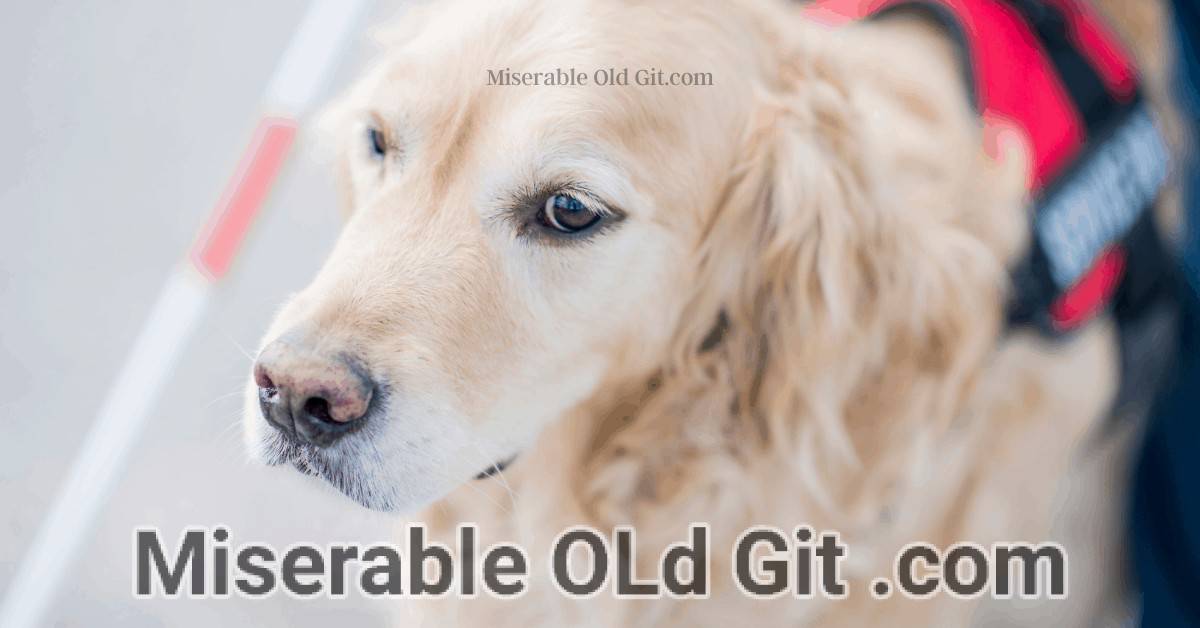 Miserable Old Git.com